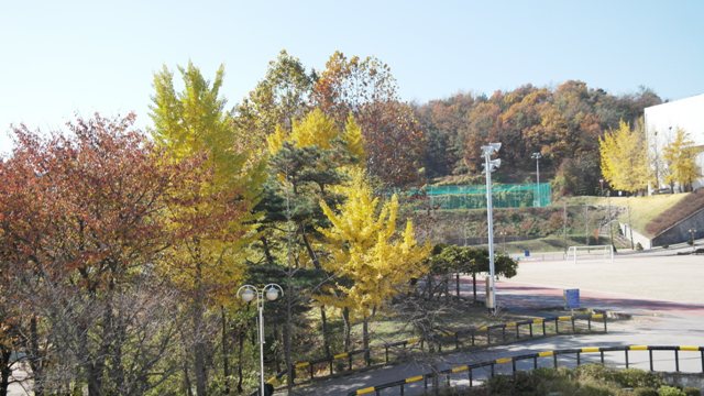 SAM_0211.JPG