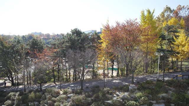 SAM_0210.JPG